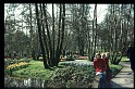 33.Keukenhof apr 1973 Brigitte,Marion,Peter